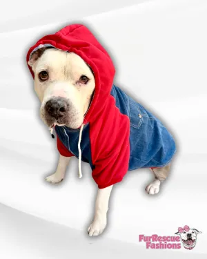 Denim Dog Jacket with Red Hoodie & Sleeves